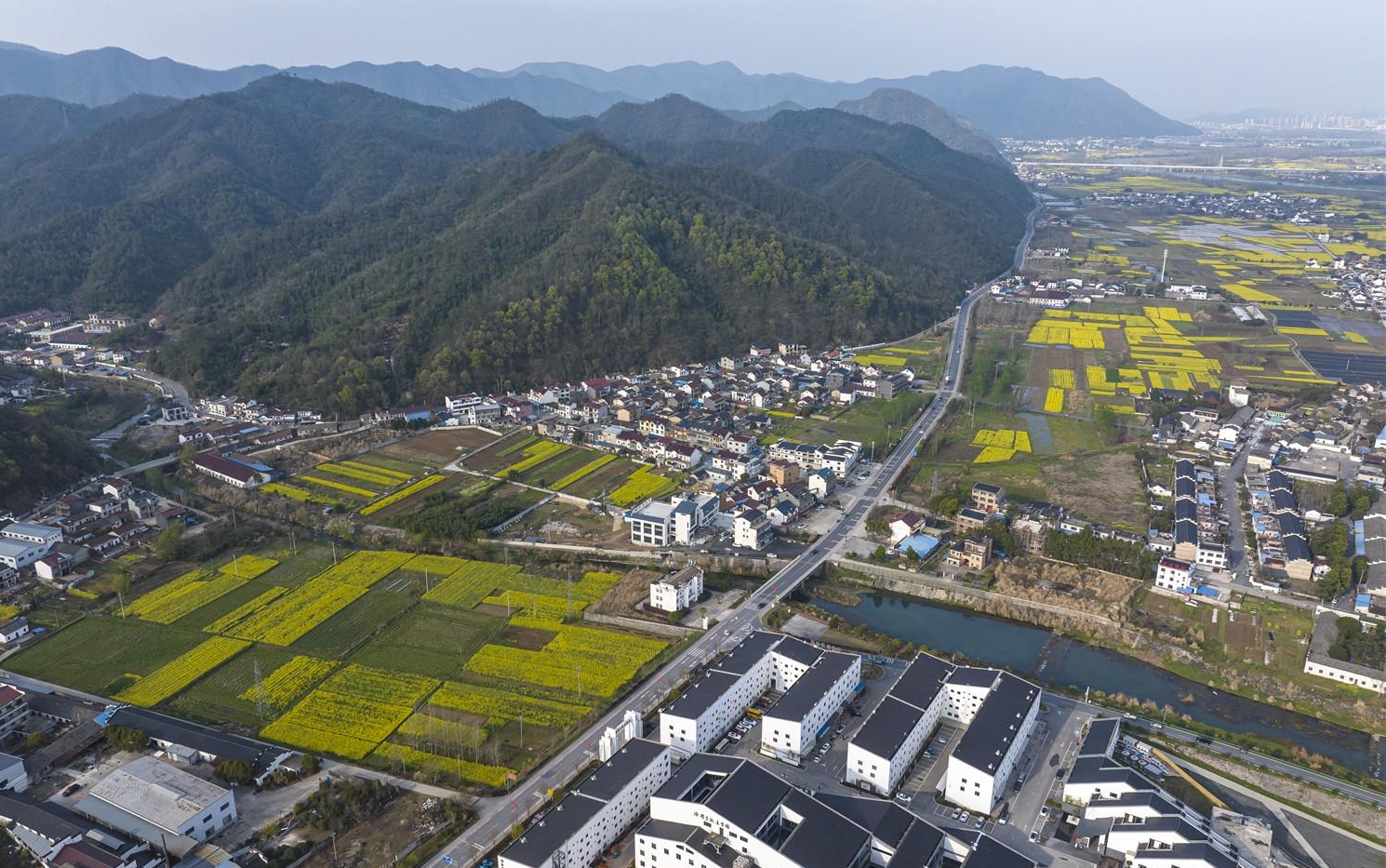 乡村幸福路