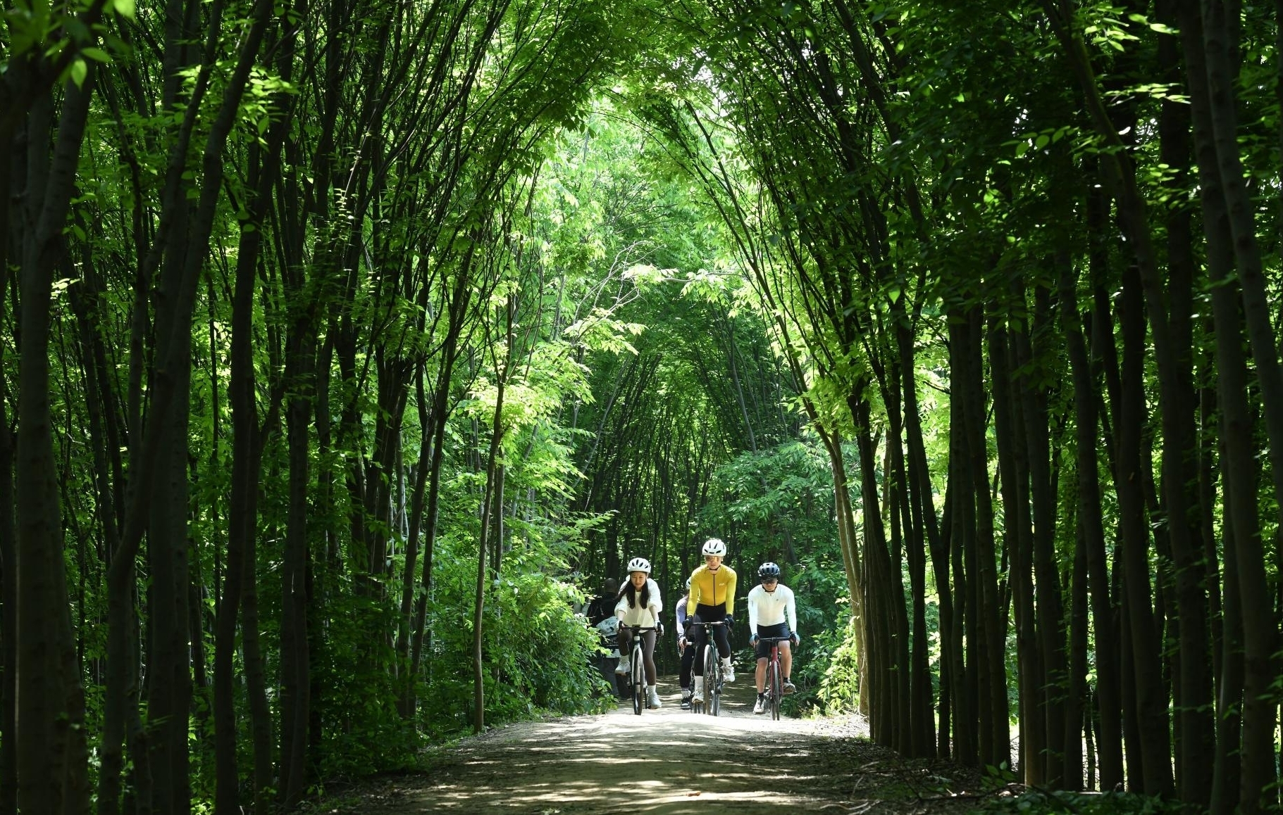 林中骑行