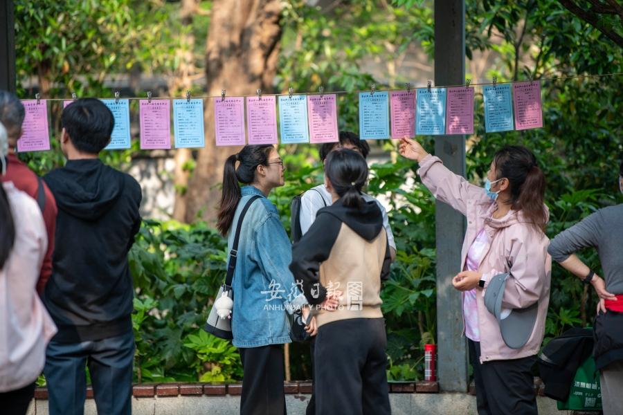 公益相亲角牵红线