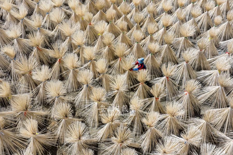 “以竹代塑”助农增收