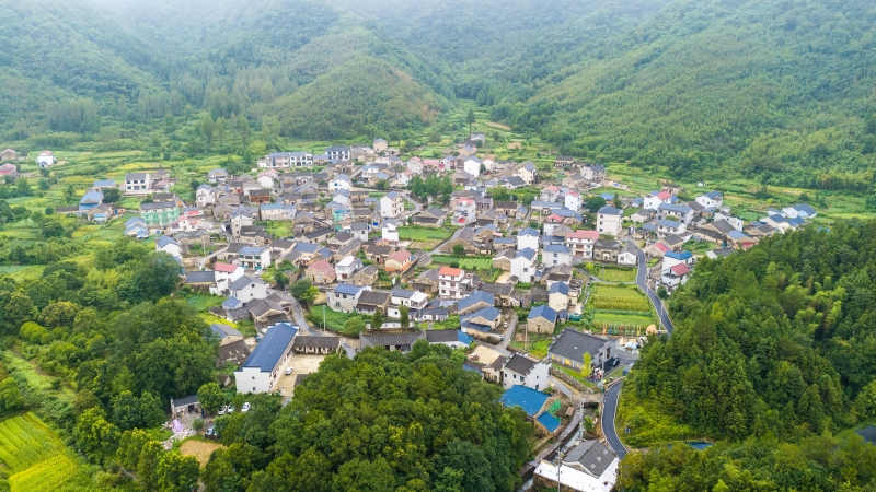 白鹭成群来栖息 绘就生态新画卷
