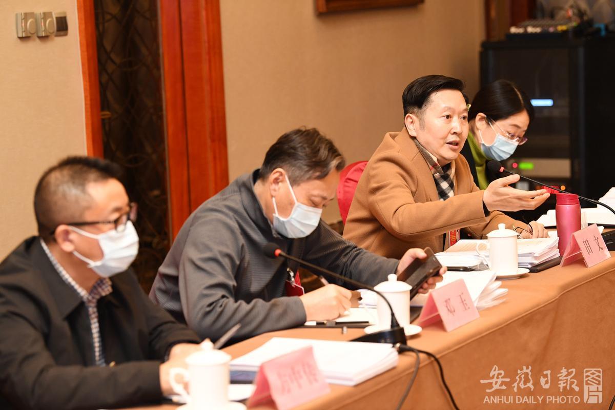 体育、文艺界别委员在分组会议上讨论省政府工作报告