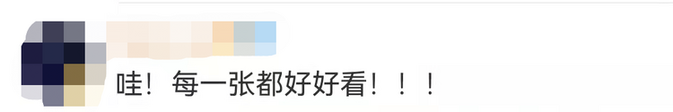 这也太赏心悦目了！