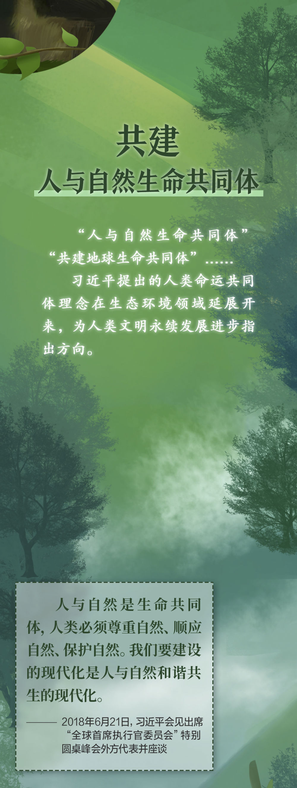 f609d7746e769e66233cf083c8f5b43d_quality,Q_80.jpg