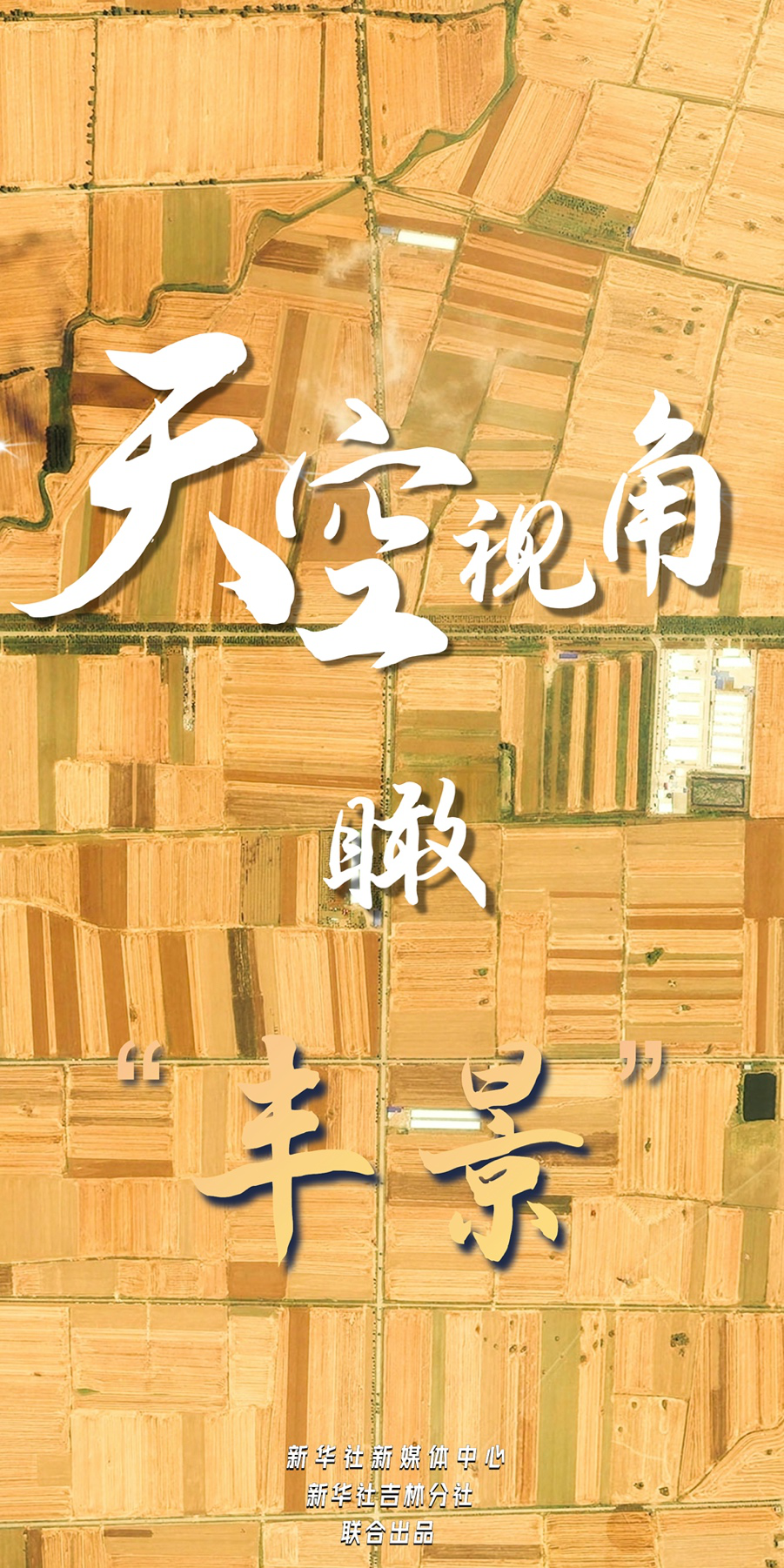 b34a7c627cc58f7faa90235a8c6069c5_quality,Q_80.png