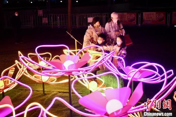 金钟添马公园的奇幻花海贺年装饰。 李志华 摄