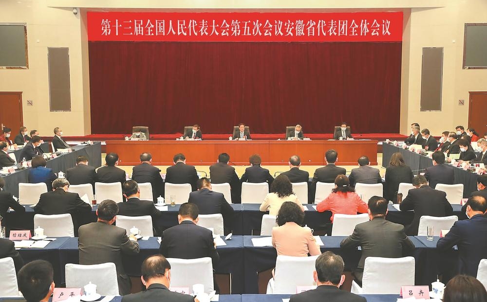 安徽代表团举行全体会议 传达学习习近平总书记重要讲话精神