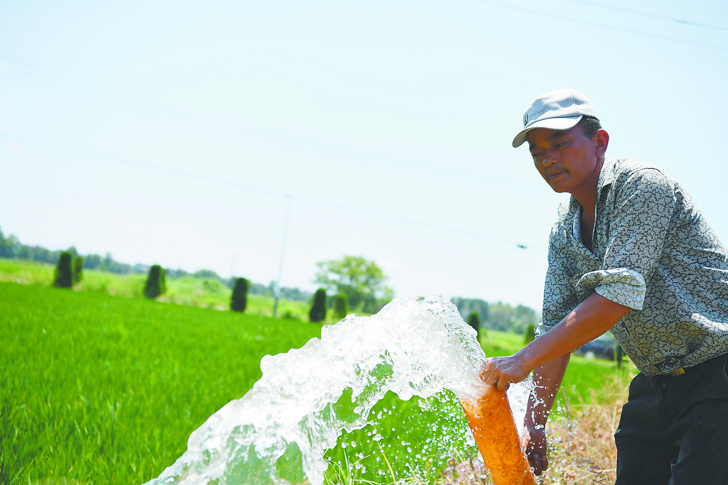 8月2日,在怀宁县黄龙镇,农民抽水灌溉.