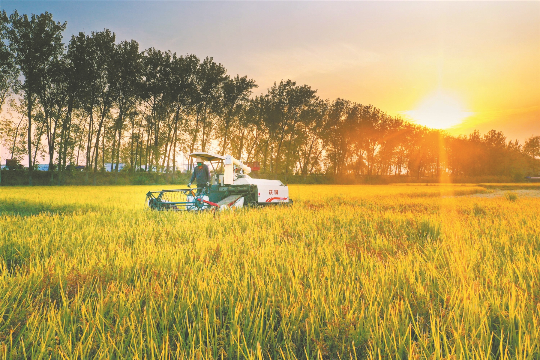 金色画卷绘丰收