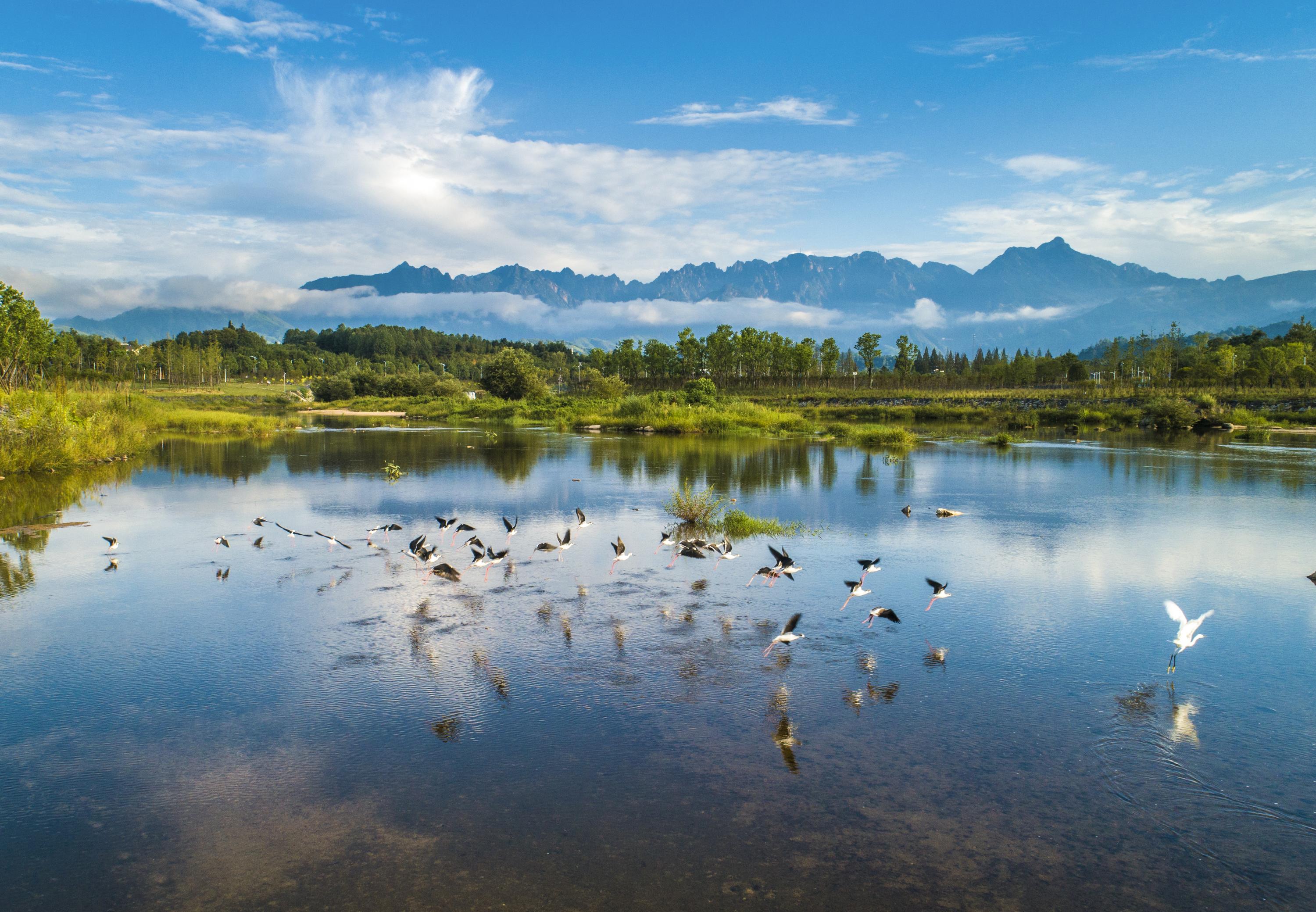 安徽新闻网 图片新闻10月下旬,黄山北大门的浦溪河畔五彩斑斓:淡绿的