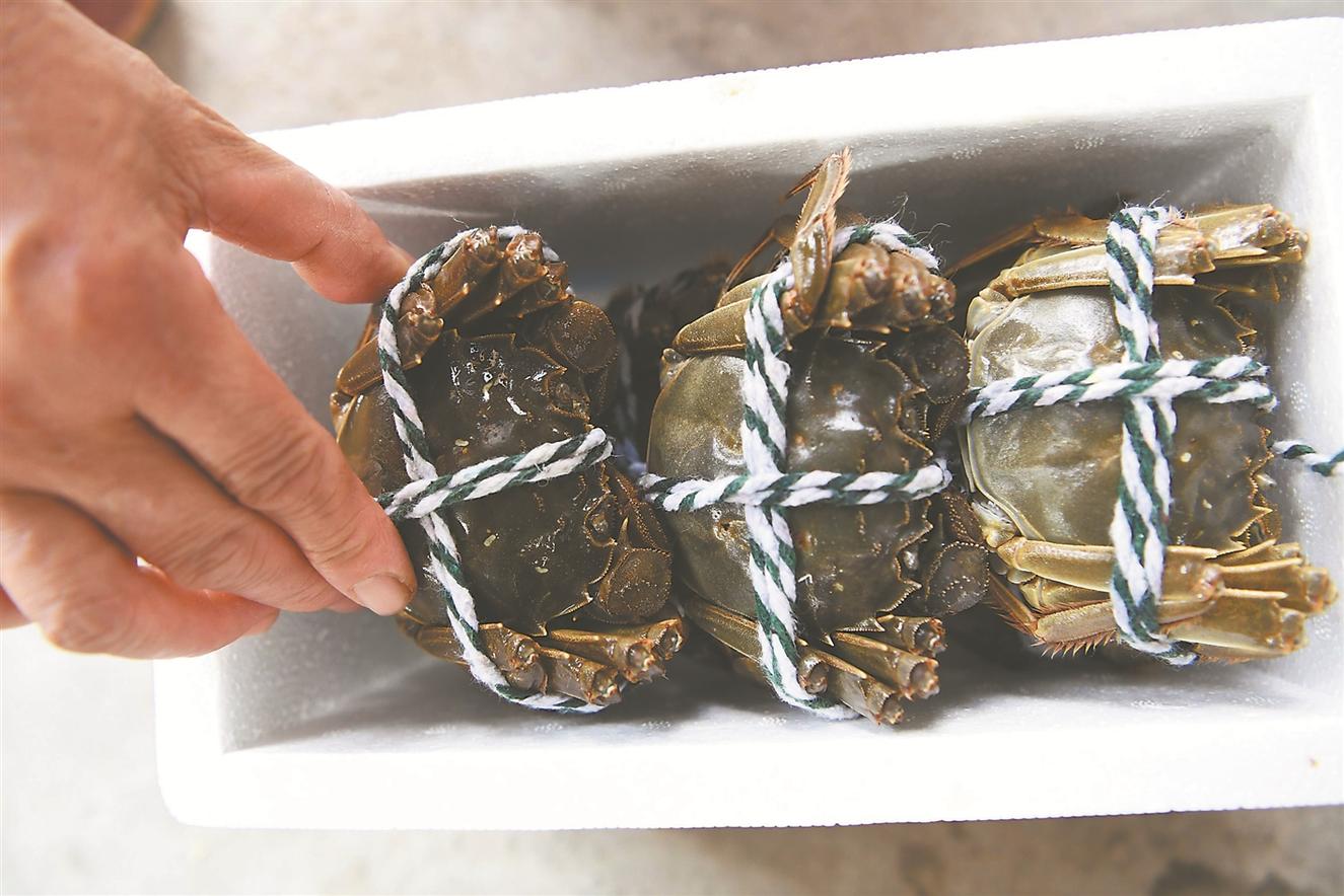 10月27日,无为市姚沟镇吴大村,养殖户将螃蟹打包发货.