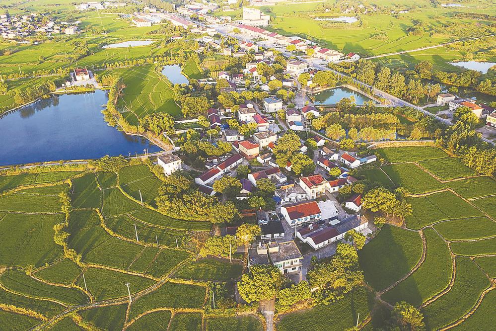 巢湖市槐林镇乡村风光.