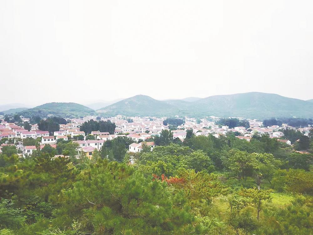 悠悠南山下 汉韵存古今 ---安徽新闻网