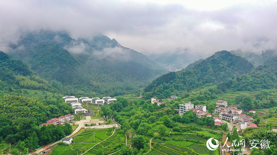 金寨县大湾村老区焕新貌幸福入画来