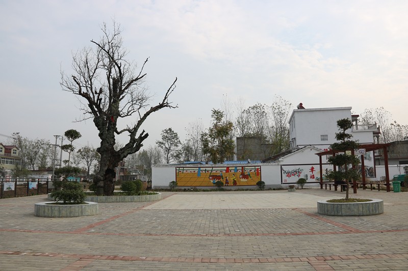 三塔镇楼李村旧貌变新颜