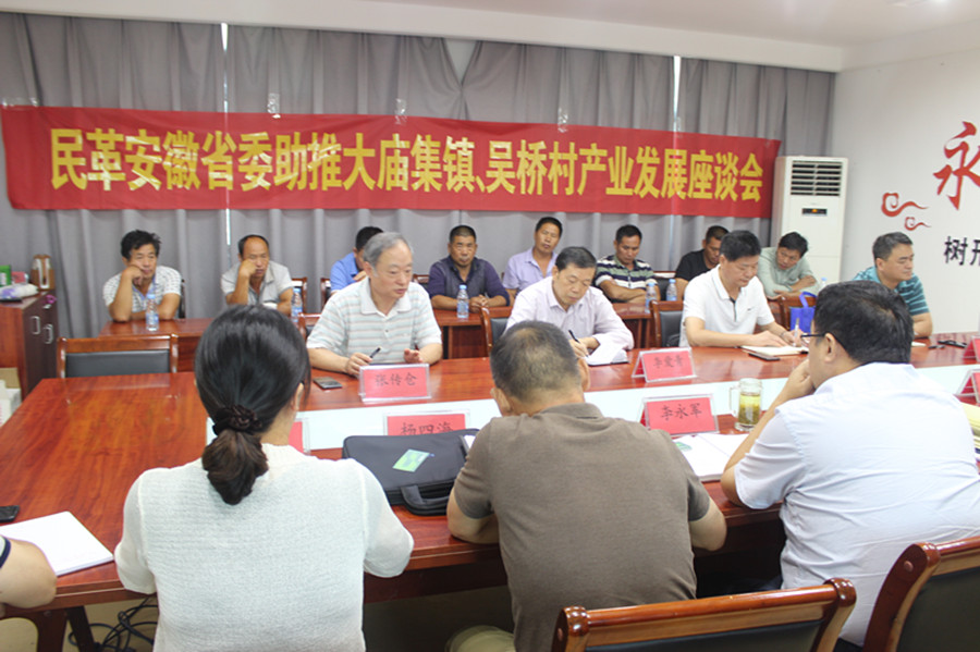 民革安徽省委在太和县大庙集镇召开助推产业发展座谈会