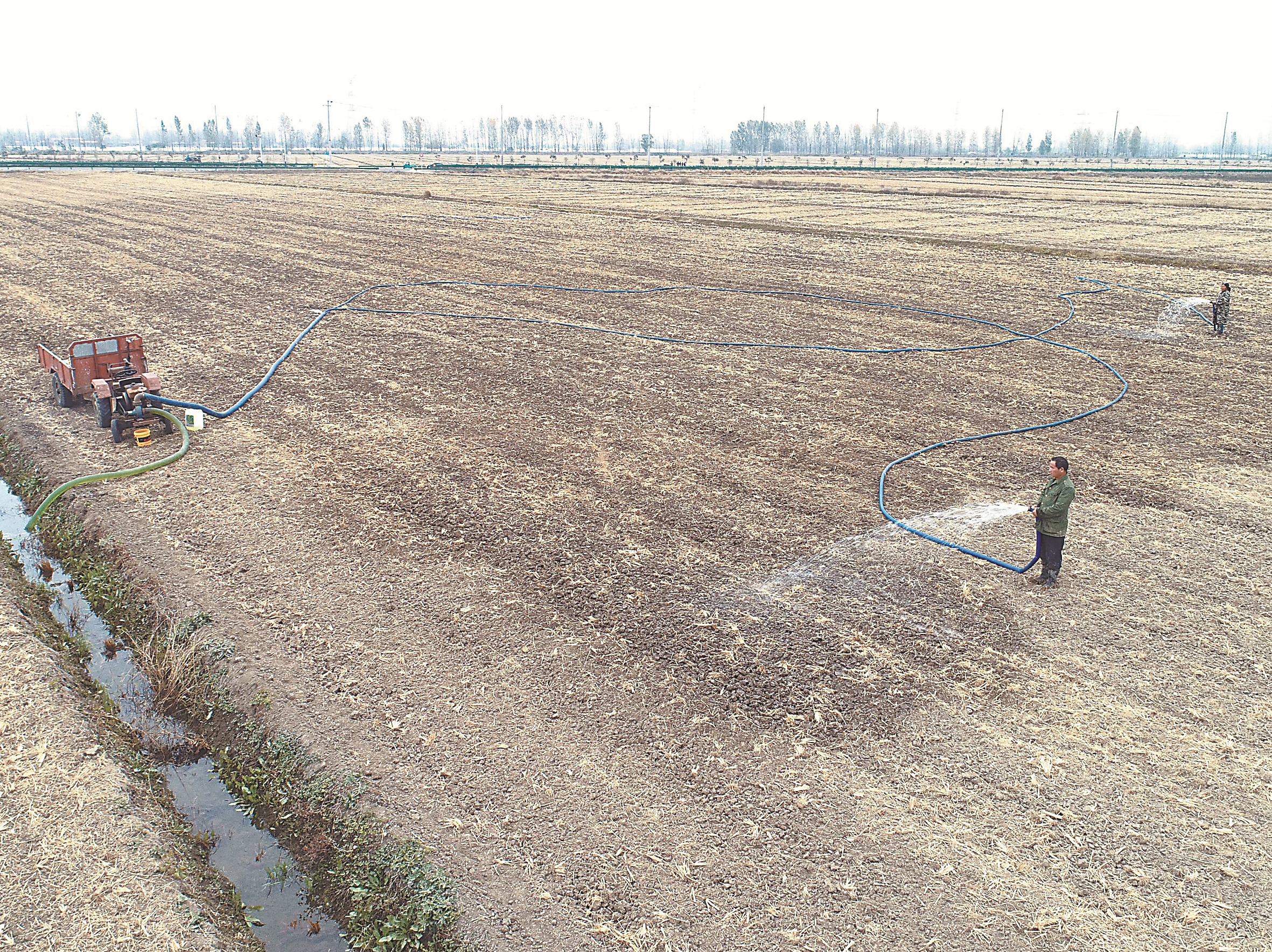 抗大旱,力保种足种满